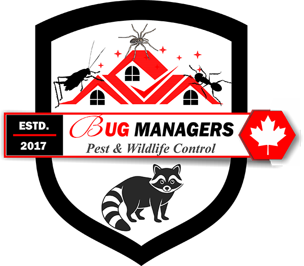 Bug Managers