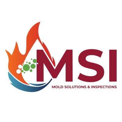 Mold Solutions & Inspections