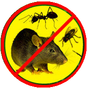 Nikol Pest Control